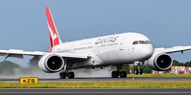 Qantas Uçağında Tahtakurusu Paniği Seferi İptal Ettirdi